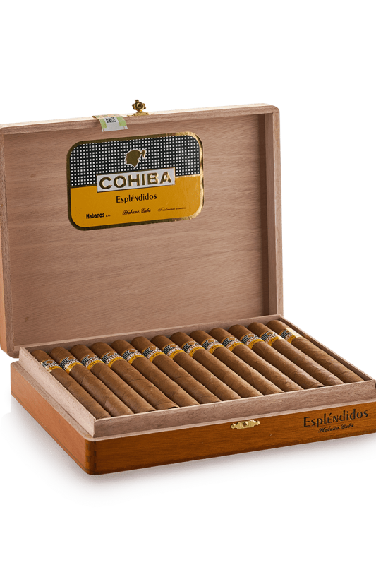 COHIBA ESPLENDIDOS 25 [ 1PC ]