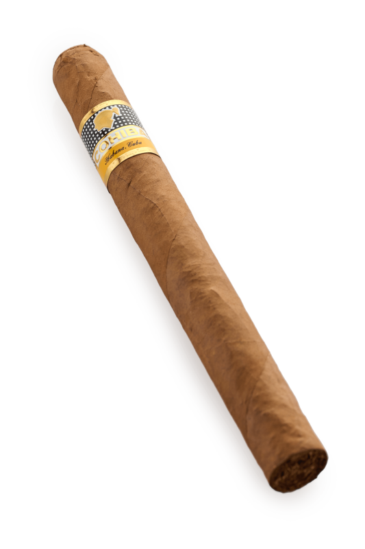 COHIBA ESPLENDIDOS 25 [ 1PC ]