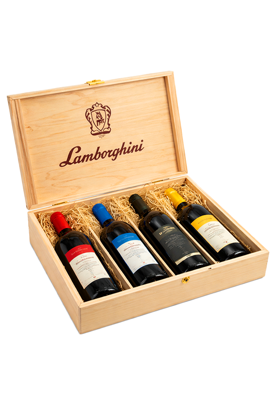 Wooden Box with 4 Red Wines (Campoleone, Torami, Era, Trescone)