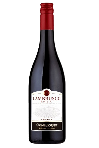 Lambrusco Emilia Ogni Giorno 75CL